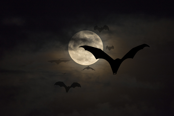 Las mejores películas de vampiros de la historia